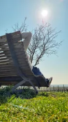 Eine Person entspannt auf einer Holzliege unter einem Baum. Die Sonne scheint und der Himmel ist klar.