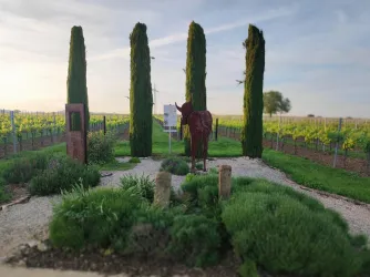 Eine malerische Weinlandschaft mit hohen Zypressen und einem kunstvollen Pferde-Skulptur. Der Boden ist mit grünen Pflanzen und Kieselsteinen gestaltet.