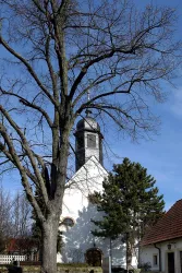 Landau Dammheim