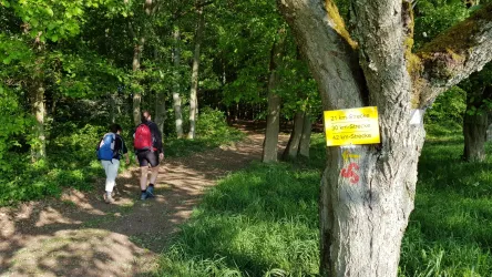 Wandermarathon 2018 (© Jörg Thamer)