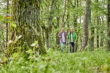 Wandern am Donnersberg (© Florian Trykowski)