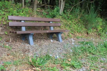Preußensteig - Ruhebank bei Thallichtenberg