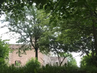 Burg Lichtenberg, Ansicht 4