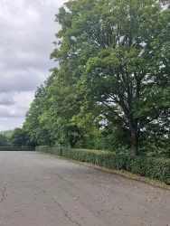 Wohnmobilstellplatz an der Burg Lichtenberg