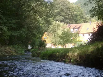 Bachlauf (© Christine Rodach)