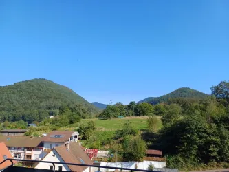 Sicht auf Schönau von der Terrasse