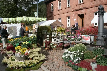 Michaelismarkt in Schönau (© Hans Joachim Noll)
