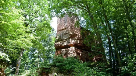Blumenstein (© Kurt Groß)