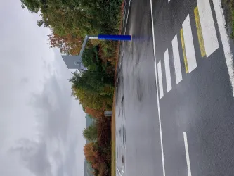 Eine nasse Straße mit einem Zebrastreifen und einem Verkehrsschild. Im Hintergrund sind Bäume und ein grauer Himmel zu sehen.