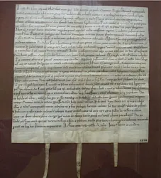 Älteste Grünstadter Originalurkunde von 1214