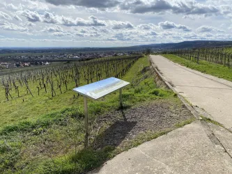 Panoramaschild Grünstadt