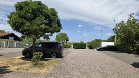 Ein Parkplatz mit einigen Fahrzeugen und einem großen Baum. Der Himmel ist blau mit wenigen Wolken.