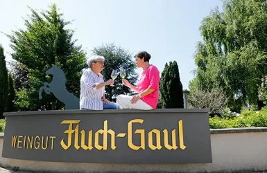 Fluch-Gaul_Weingut_7