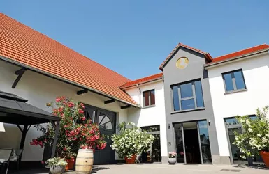 Fluch-Gaul_Weingut_5