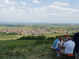 Höllenpfad-Weinwanderung Grünstadt