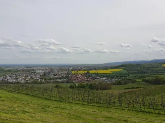 Ausblick Weinwanderhütte Asselheim