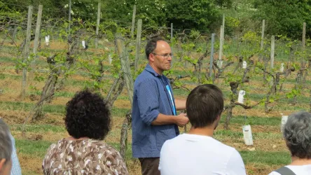 Ein Mann spricht zu einer Gruppe von Menschen in einem Weinberg. Im Hintergrund sind Rebstöcke und eine grüne Landschaft zu sehen.