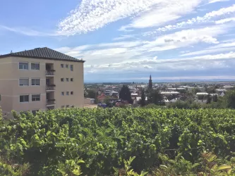 003 KKH Grünstadt Kunkel2