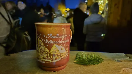 Nahaufnahme_Asselheimer Lichterglanz © CC-BY-SA, S