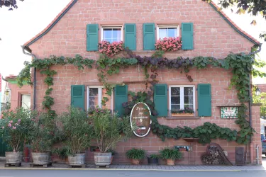 Wgt. Grün Sausenheim 1-C-Stadt Gr.