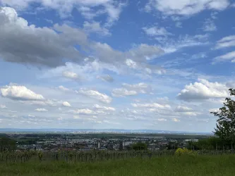 Blick auf Grünstadt