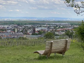 Himmelsliege 1 Grünstadt
