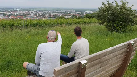 Himmelsliege Grünstadt