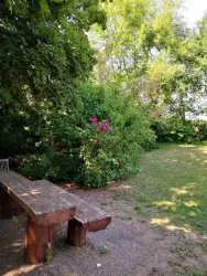 Rohrbacher Grillhütte Picknickplatz