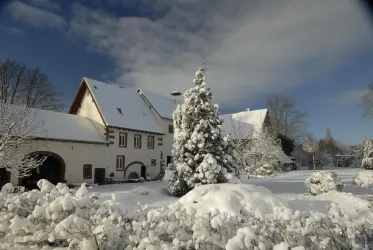 Ein verschneites Bauernhaus umgeben von schneeigen Bäumen und Sträuchern. Der Himmel ist klar und blau, was eine ruhige Winterlandschaft schafft.