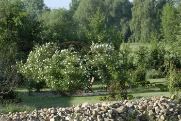 Ein schöner Garten mit üppigem Grün und blühenden Sträuchern. Im Hintergrund ist eine ruhige Landschaft mit Bäumen zu sehen.