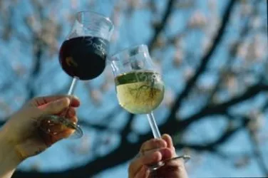 Weingut Becker Rohrbach Gläser (© Weingut Becker)