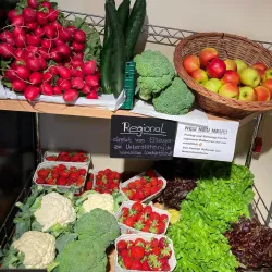 Frisches Gemüse und Obst aus der Region, darunter Radieschen, Brokkoli, Erdbeeren und Äpfel. Auf einem Regal präsentiert, um lokale Erzeuger zu unterstützen.