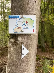 Hinweisschild Panorama-Rundweg