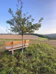 Aussicht Panorama-Rundweg Hoppstädten Richtung Kön