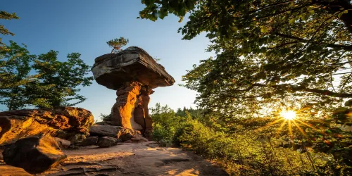 Teufelstisch in Hinterweidenthal (© CC-BY-SA Pfalz Touristik, Dominik Ketz)