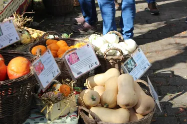 Ein erlebnissreicher Marktstand mit verschiedenen Kürbissen und frischem Gemüse in Körben. Die bunten Farben und Beschilderungen machen das Bild einladend.
