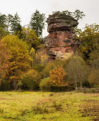 Felsgebilde umgeben von Bäumen.