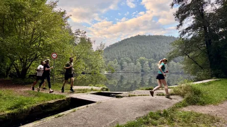 Eine Gruppe von Joggern läuft entlang eines ruhigen Sees, umgeben von Bäumen und sanften Hügeln. Der Himmel ist teils bewölkt, was eine entspannte Atmosphäre schafft.