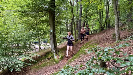 Eine Gruppe von Menschen wandert auf einem schmalen Pfad durch einen grünen Wald. Umgeben von Bäumen und Sträuchern genießen sie die Natur.