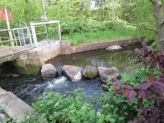 Queich mit Fischtreppe an der Zeiskamer Mühle