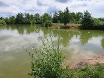 Bürgersee Zeiskam
