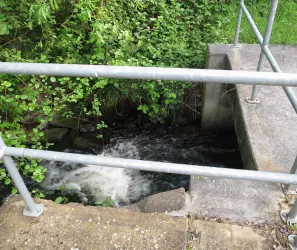 Zeiskamer Mühle Queich am Wassergang