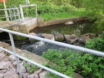 Wassergang mit Fischtreppe an der Queich