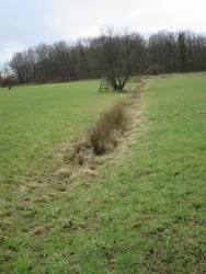 Rieselwiese mit Abflussrinne