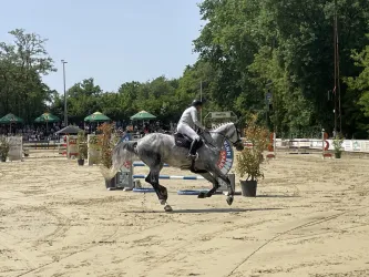Ein Reiter auf einem grauen Pferd springt über ein Hindernis in einer Sandarena. Im Hintergrund sind Zuschauer und Verkaufsstände zu sehen.
