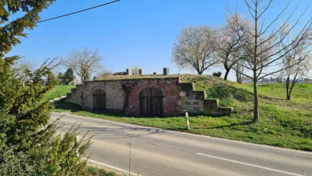 Ein historisches Bauwerk in der Natur, umgeben von Bäumen und grünem Gras. Im Hintergrund ist ein klarer blauer Himmel sichtbar.