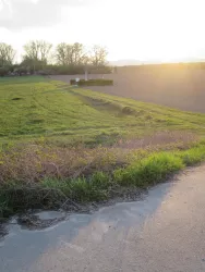 Gotischer Bogen im Feld