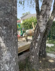 Eine Holzbank steht im Freien zwischen zwei Bäumen. Im Hintergrund ist ein kleiner Junge, der spielt.
