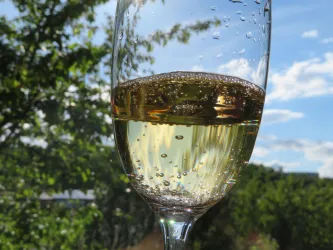 Ein Glas Sekt mit sprudelnden Bläschen und einem klaren Himmel im Hintergrund. Die grüne Natur umgibt die Szene und schafft eine fröhliche Atmosphäre.