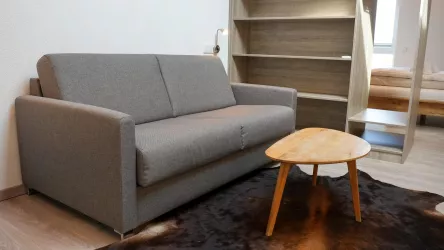Sofa und Schlafcoach